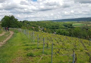 Trail Walking Crouttes-sur-Marne - Crouttes du 23/05/2021 - Photo