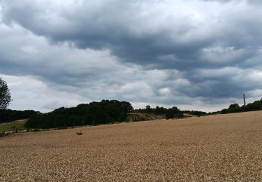 Tocht Stappen Riemst - qwadrifyon ches les bataves  - Photo