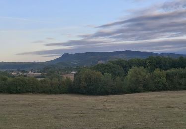 Tocht Mountainbike Boussens - en face1 - Photo