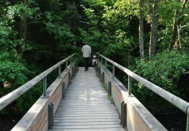 Trail Walking Houffalize - Adeps Engreux 2019 - Photo