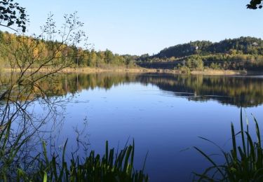 Tour Zu Fuß  - Kyststien Hem - Eftang - Photo