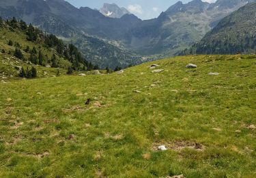 Randonnée Marche Cauterets - Tour des lacs Marcadau - Photo