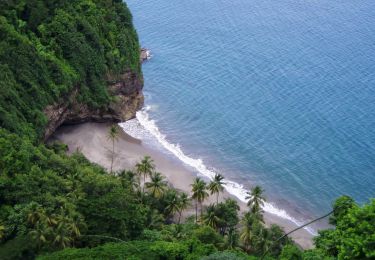 Percorso Marcia Le Prêcheur - Anse couleuvre vers Rivière Trois-Bras - Photo