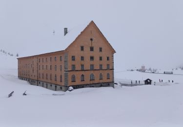 Randonnée Raquettes à neige Simplon - autour du simplon  - Photo