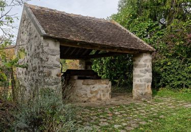 Excursión A pie Montmachoux - Sentier des Croix - Photo