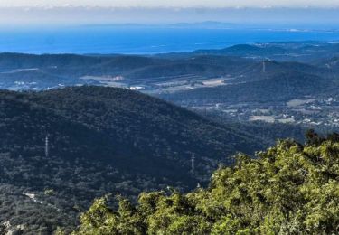 Tour Wandern Bormes-les-Mimosas - Bormes les Mimosas. Les 3 cols - Photo