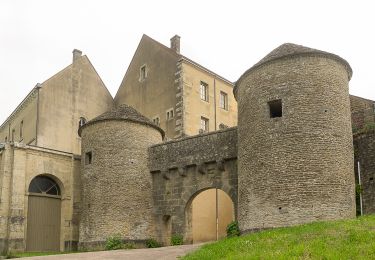 Excursión Senderismo Alise-Sainte-Reine - Alise-Sainte-Reine - Flavigny-sur-Ozerain - Photo