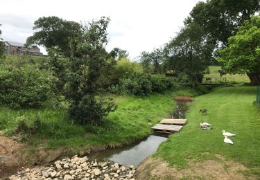 Tour Wandern Clavier - Odet via Gombièvâ, Fontenoy - Photo