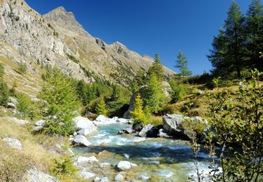 Tour Zu Fuß Samedan - Palüd Marscha-Crap Alv - Photo