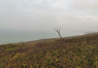 Tour Wandern Plouhinec - pots Poullan  - Photo