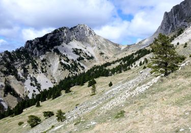 Trail On foot Glandage - 2024-04-16_Sucettes de Borne - Photo