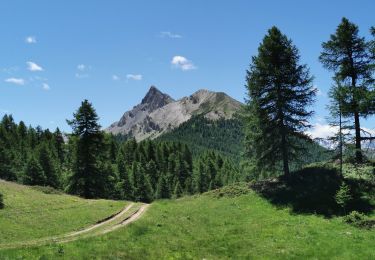 Tocht Stappen Château-Ville-Vieille - Chapelle Saint Simon depuis le sommet Bûcher - Photo