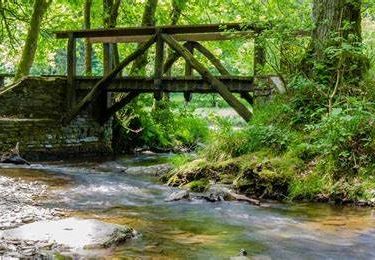 Randonnée Marche Herbeumont - Haut-Chenois - Sentiers  et vallée de l'Antrogne - Photo