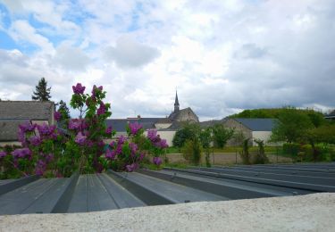 Randonnée Marche Coteaux-sur-Loire - Saint-Patrice - GRP Coteaux de Bourgueil - 24.7km 300m 5h45 (45mn) - 2023 04 26 - Photo