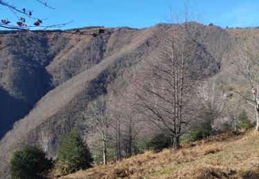 Randonnée Marche Biert - plateau de guiel - Photo