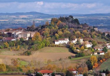 Tour Wandern Lautrec - Lautrec boucles ails et 2 chateaux - Photo