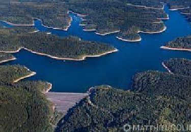 Excursión Paseo ecuestre Neuviller-lès-Badonviller - les jeunes de demain! - Photo