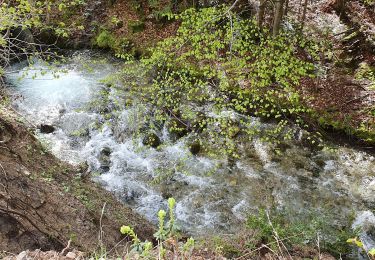 Tour Wandern Châtillon-en-Diois - les Nonnieres - Photo