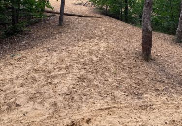 Randonnée Marche Maaseik - Gruitroderbos -  dunes - Photo