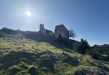 Percorso Marcia La Palud-sur-Verdon - Château Neuf lès Moustiers  - Photo
