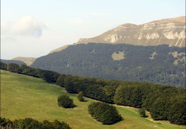 Randonnée Randonnée équestre Bouvante - Boucle Ferme de Lente vers plateau d'Ambel - Photo