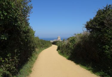 Trail On foot Plévenon - À Pied à Plévenon : des Landes aux Deux Pointes - Photo