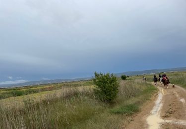 Tocht Paardrijden Sos del Rey Católico - Bardenas jour 3 - Photo