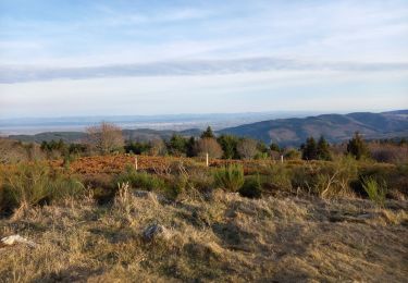 Tocht Stappen Saint-Nicolas-des-Biefs - Jean-Pierre_Cottin_2022-01-02_15-15-05 - Photo