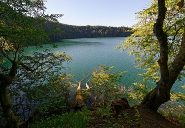 Tocht Te voet Besse-et-Saint-Anastaise - Le puy de Montchal et le Lac Pavin - Photo