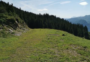 Trail Walking Arrens-Marsous - col de soulor, lac de soum, col de bazes, col de soulor  - Photo