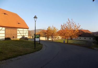 Trail On foot Großschirma - DE-Grüner Strich und blauer Punkt Nossen- Zellwald- Siebenlehn Markierung z.T. mangelhaft - Photo