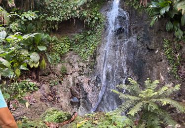 Randonnée Marche Petit-Bourg - INRA cascade - Photo