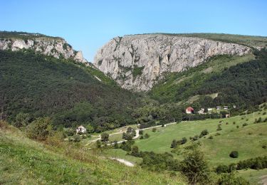 Excursión A pie Petreștii de Jos - Cabana Cheile Turzii - Cabana Buru - Photo