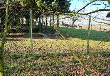 Trail Walking Heuvelland - 06/03/2025 Loker Charles - Photo