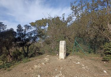 Excursión Senderismo Six-Fours-les-Plages - Aire des masques faite le 7 février  - Photo