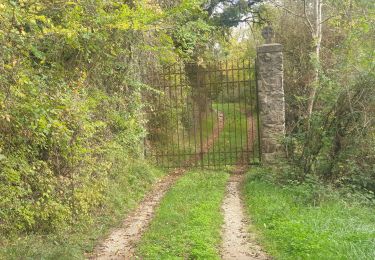 Tour Wandern Cornus - cornus et Sorgues in live - Photo