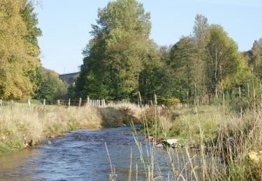 Tour Zu Fuß Altenbeken - Wildnis-Steig (Naturerbe Wanderwelt) - Photo