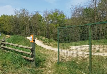 Percorso Marcia Lentilly - sentier bois des tannerie Lentilly - Photo