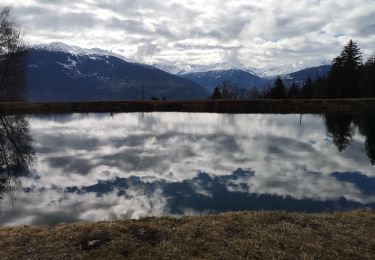 Tocht Stappen Arbaz - étang de Lombardon - Photo