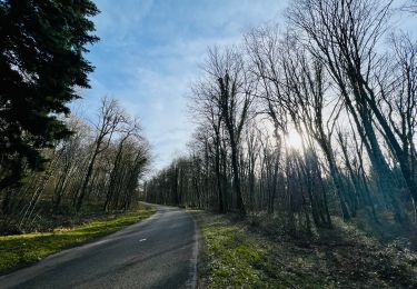 Randonnée Vélo de route Équevillon - Sortie Mariani's mars 2023 - Photo