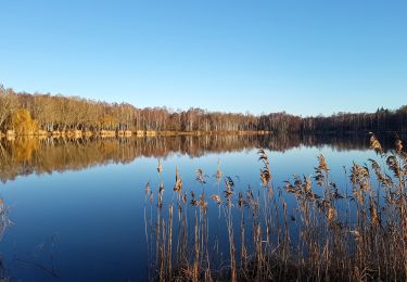 Tour Wandern Fère-en-Tardenois - Fère en Tardenois Rando Santé  - Photo