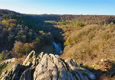 Trail Walking Herbeumont - Haut Chenois - Rocher du Chat  - Photo