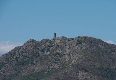 Randonnée A pied Collioure - La Tour Massane par le Chemin de l'Eau - Photo