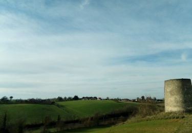 Tour Wandern Auriac-sur-Vendinelle - 16 février 2021 - Photo