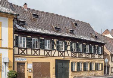 Percorso A piedi Hallstadt - Bamberger Rennsteig - Photo