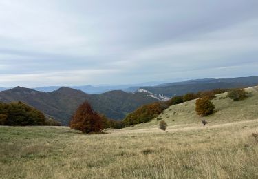 Trail Walking Omblèze - Boouton - Photo