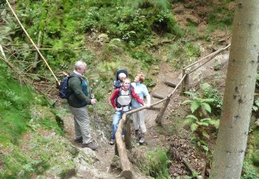 Tocht Te voet Malmedy - WandHogVen 20: Bevercé: canyoun van de Trôs Marets - Photo