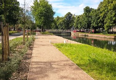 Randonnée Course à pied Lille - Citadelle de Lille - Photo