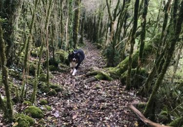 Tour Wandern Lentillac-du-Causse - Lantillac du causse - Photo