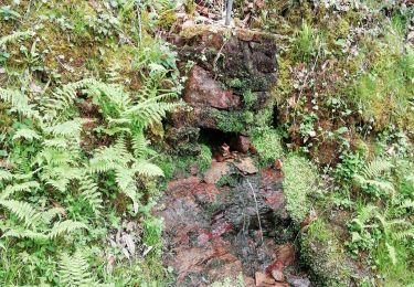 Trail Walking Beaulieu-sur-Dordogne - Fred BC Brivezac  - Photo
